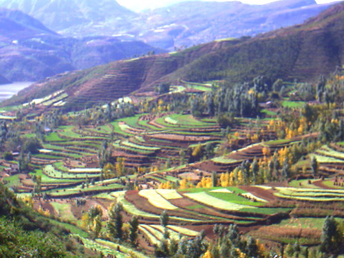 �������Y