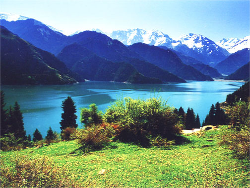 �������Y