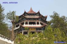 �������Y